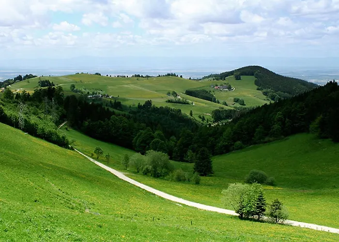 Bader 招待所 Löffingen